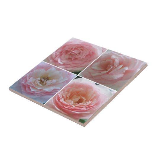 Rozen Tegeltje (Zijkant)
