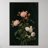 Rozen tegen zwarte achtergrond Poster (Voorkant)