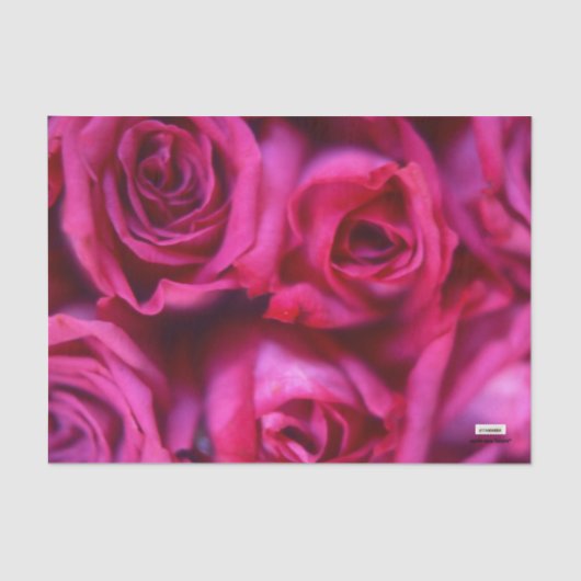 Rozen Tissuepapier (Voorkant)