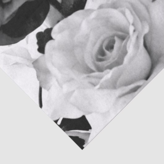 Rozen Tissuepapier (Detail)