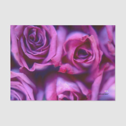 Rozen Tissuepapier (Voorkant)