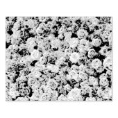 Rozen tuin rubberstempel (Afrduk)