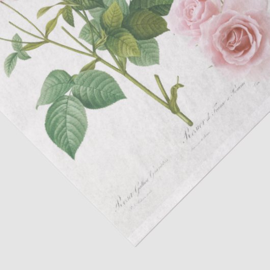 Rozen tuin tissuepapier (Detail)