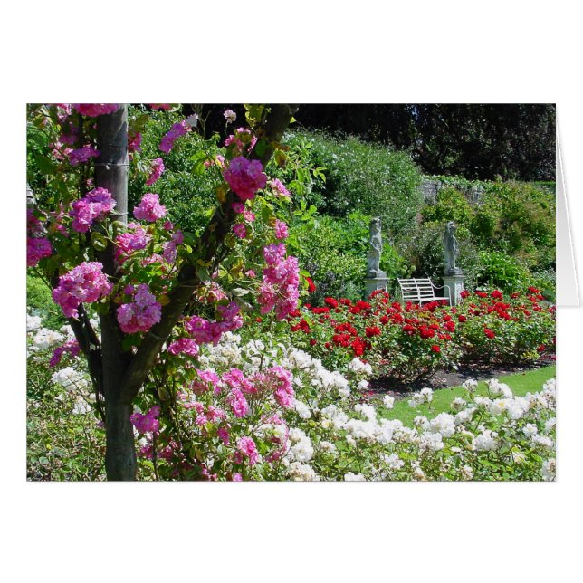 Rozen tuinkaart (Voorkant Horizontaal)