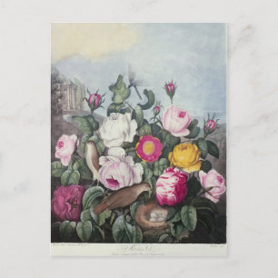 Rozen uit de "tempel van Flora" Briefkaart