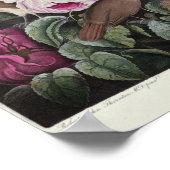 Rozen uit de "tempel van Flora" Poster (Hoek)