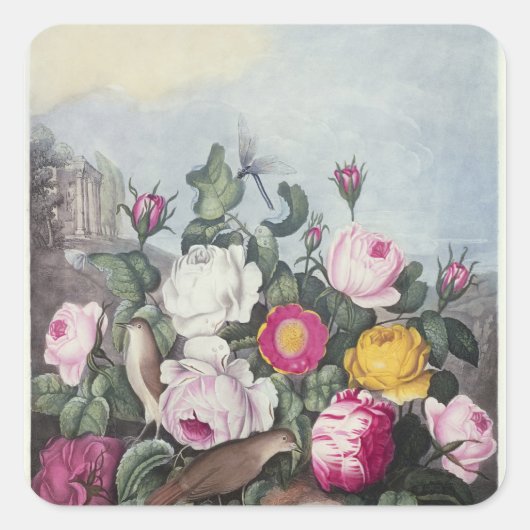 Rozen uit de "tempel van Flora" Vierkante Sticker (Voorkant)