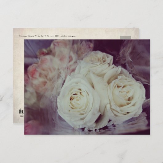 ROZEN V BRIEFKAART (Voorkant / Achterkant)