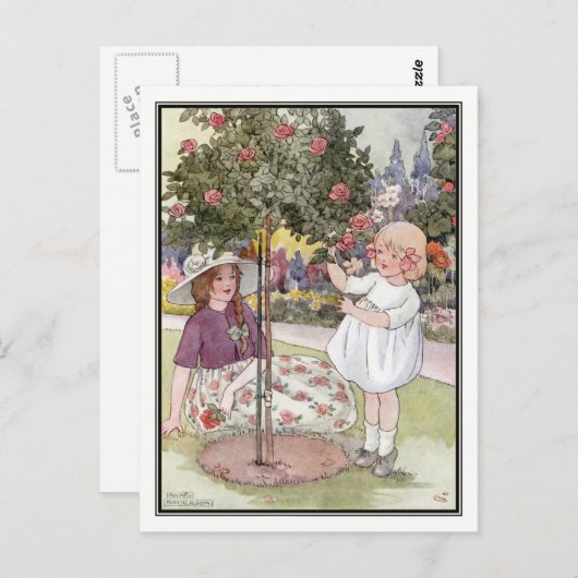 Rozen van Anne Anderson Briefkaart (Voorkant / Achterkant)