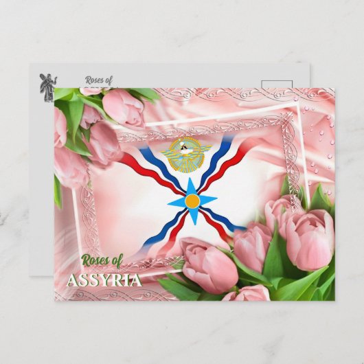 Rozen van ASSYRIA Briefkaart (Voorkant / Achterkant)