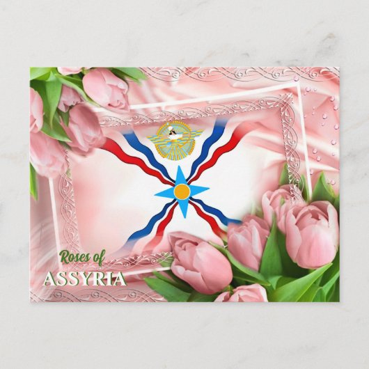 Rozen van ASSYRIA Briefkaart (Voorkant)