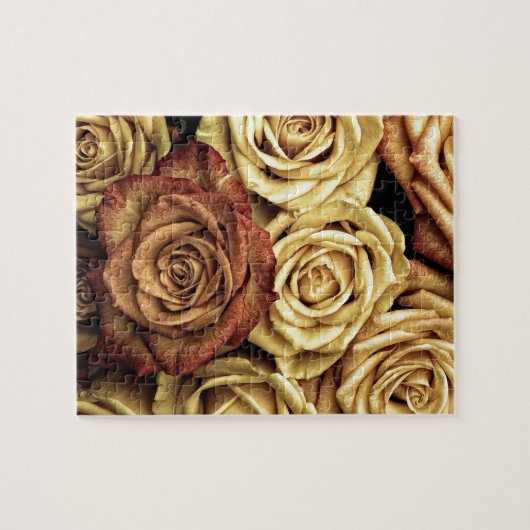 Rozen van Beauful Siena Legpuzzel (Horizontaal)