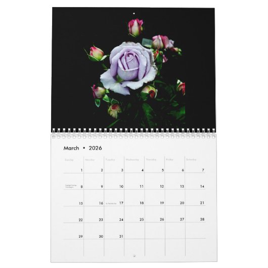 Rozen van de Dozen Kalender (Mar 2026)