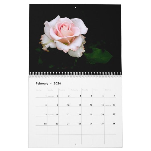 Rozen van de Dozen Kalender (Feb 2026)
