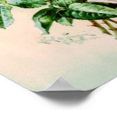 Rozen van de Franse Bridal Poster (Hoek)