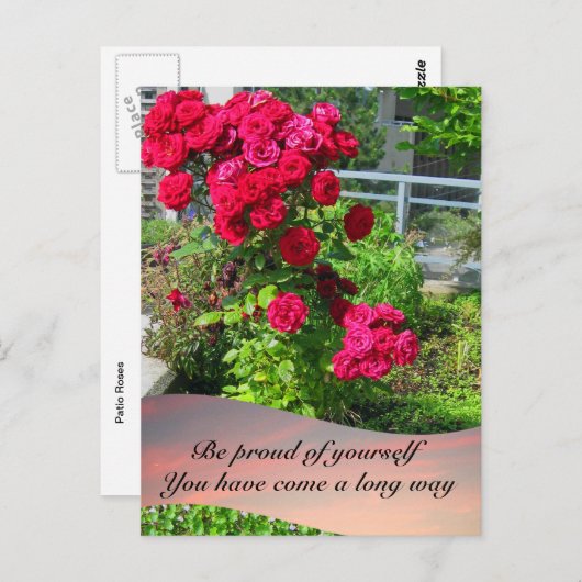 Rozen van de patiënt met het Briefkaart van het Ci (Voorkant / Achterkant)