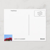 Rozen van de patiënt met het Briefkaart van het Ci (Achterkant)