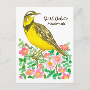 Rozen van de State Bird of North Dakota Meadowlark Briefkaart