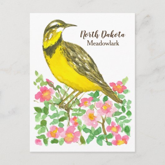 Rozen van de State Bird of North Dakota Meadowlark Briefkaart (Voorkant)