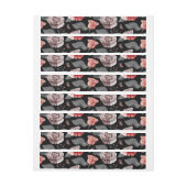 Rozen van de waterverf 15 (Vel)