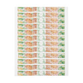 Rozen van de waterverf 27 (Vel)