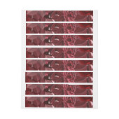 Rozen van de waterverf 35 (Vel)