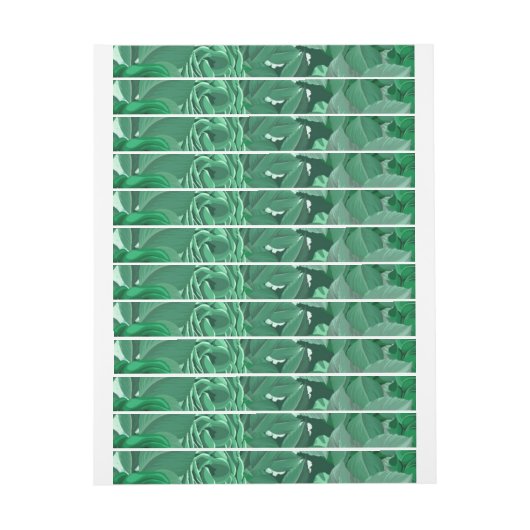 Rozen van de waterverf 36 (Vel)