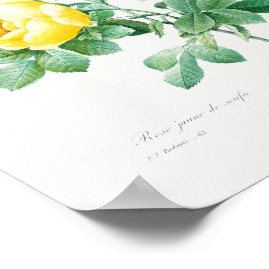  rozen van Floral Geel Poster (Hoek)