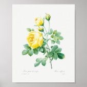  rozen van Floral Geel Poster (Voorkant)