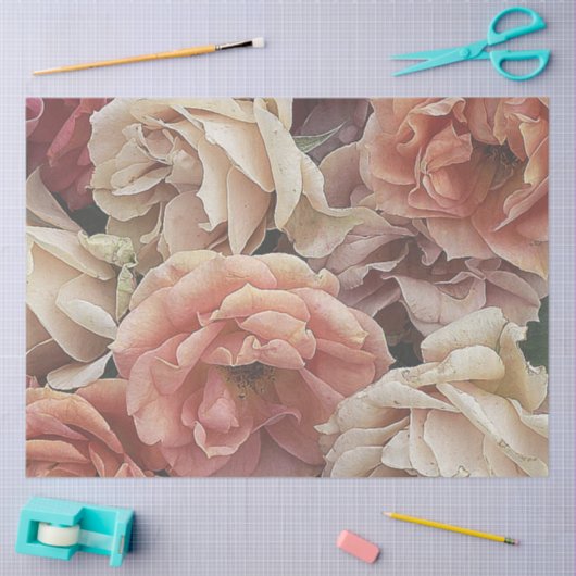 rozen van grote tuinen, zachte perziken tissuepapier (Craft)