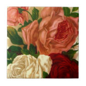  Rozen van Heirloom Antiek Oud Blush Roos Tile Tegeltje (Voorkant)