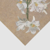 Rozen van Henri Fantin-Latour Tissuepapier (Detail)
