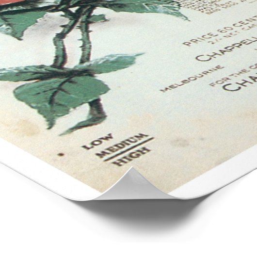 Rozen van het Hoesje Picardy Songbook Poster (Hoek)