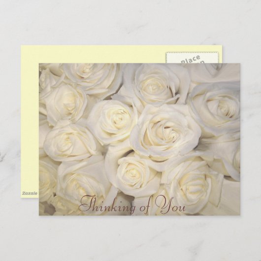 Rozen van Love_Postcard Briefkaart (Voorkant / Achterkant)