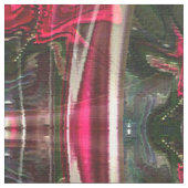 Rozen van medeleven...... stof (Close Up)