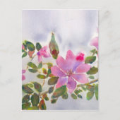 Rozen van Nana Briefkaart (Voorkant)