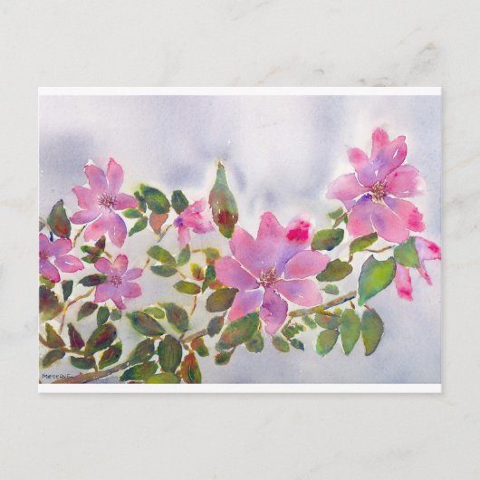 Rozen van Nana Briefkaart (Voorkant)