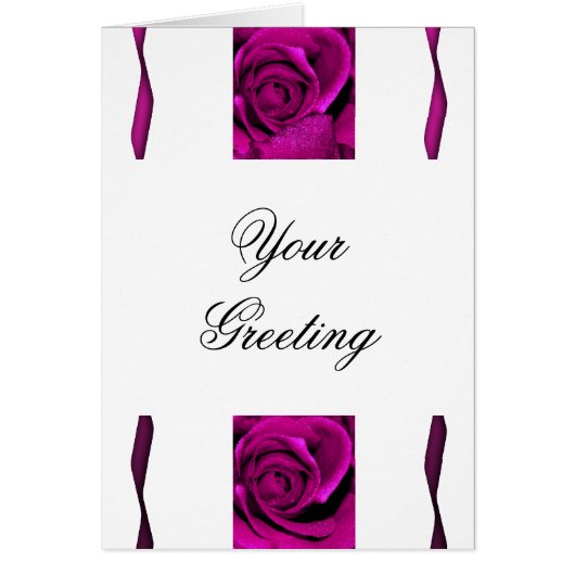 Rozen van Paars roos (Voorkant)