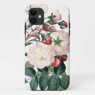 Rozen van Redoute Les Rozen vintage image iPhone 11 Hoesje
