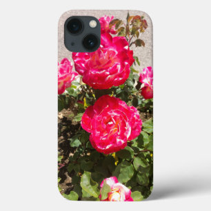 Rozen van rode tuin Case-Mate iPhone case