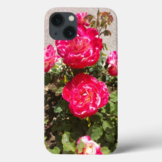 Rozen van rode tuin Case-Mate iPhone case (Achterkant)