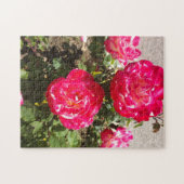 Rozen van rode tuin legpuzzel (Horizontaal)
