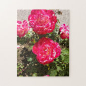 Rozen van rode tuin legpuzzel (Verticaal)