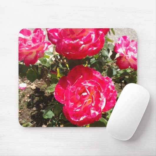 Rozen van rode tuin muismat (Met muis)