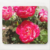 Rozen van rode tuin muismat (Voorkant)