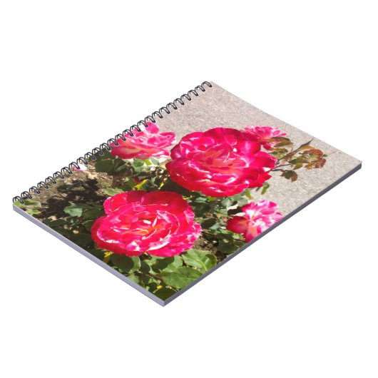 Rozen van rode tuin notitieboek (Linkerzijde)