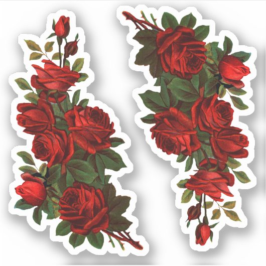 Rozen van St. George's Day (fR) Sticker (Voorkant)