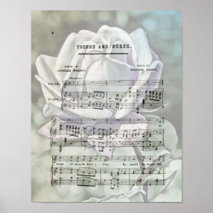 Rozen  vel muziek Art Poster