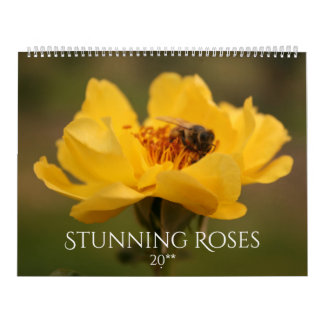 Rozen verbluffende fotografie 2020 kalender