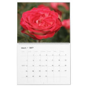 Rozen verbluffende fotografie 2020 kalender (Mar 2027)